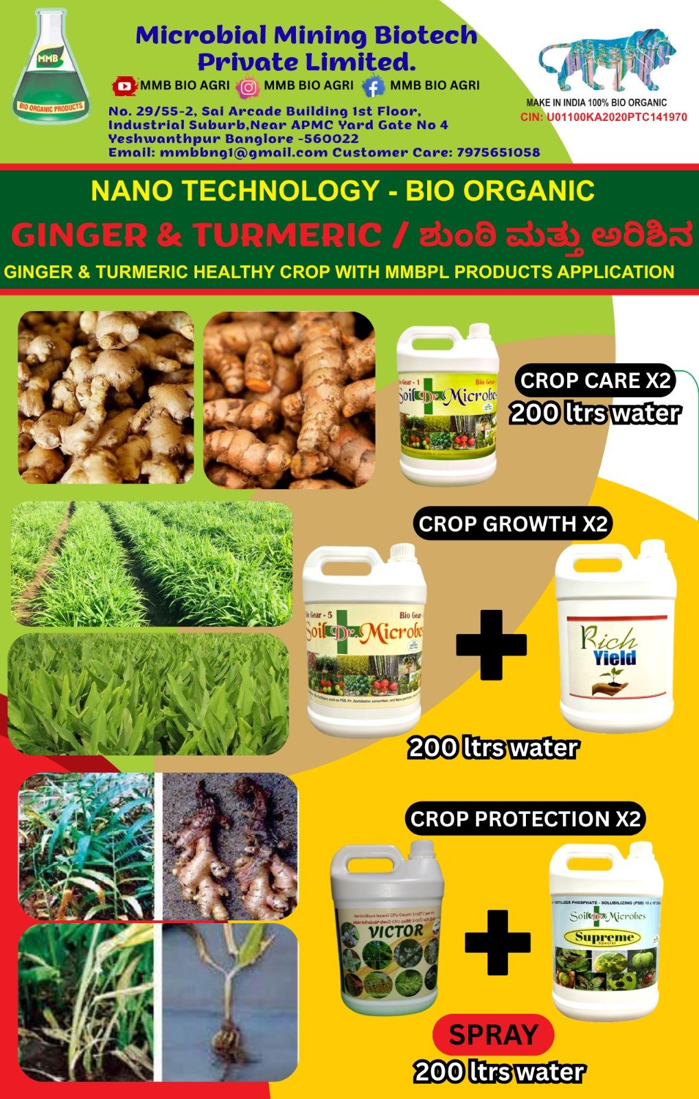 Ginger & turmeric — recommended MMBPL product application