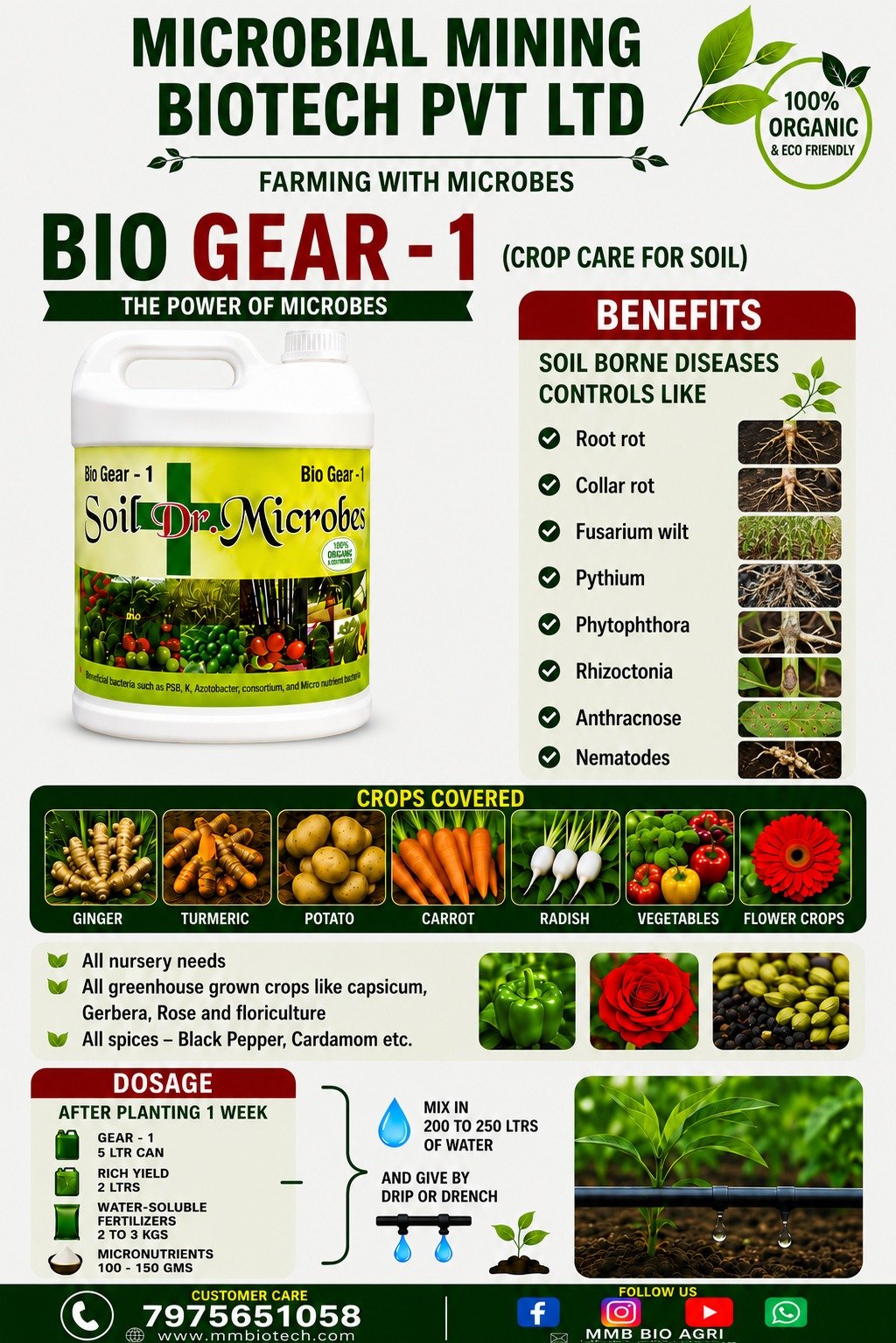 Bio Gear-1 — controlling soil-borne diseases